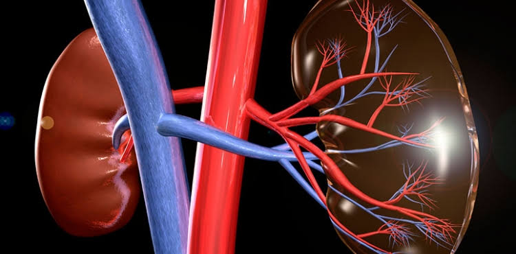 New research confirms protective effect of diabetes drugs against kidney failure