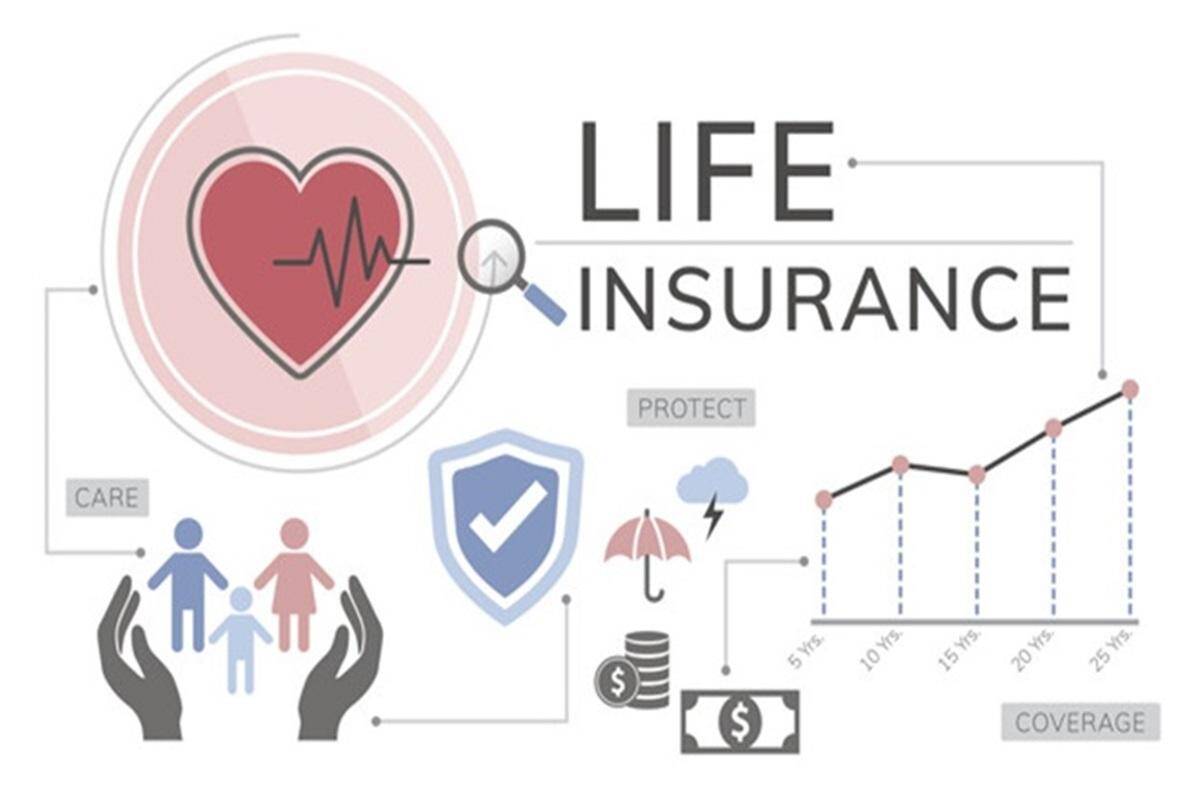 What is Term Life Insurance : What is Term Life Insurance