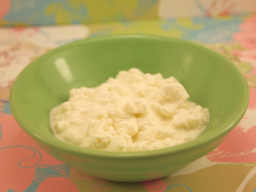 Home-made cottage cheese