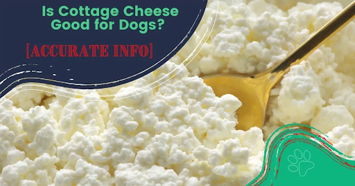 Types of Cottage Cheese